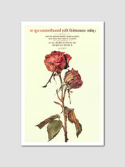 Peace and Serenity Sanskrit Quotes: 4 Posters Combo + FREE Wall Calendar