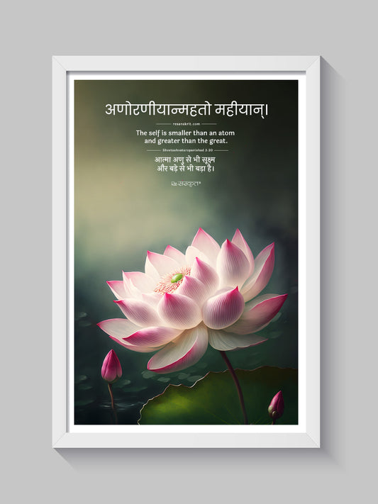 "Beyond Measure" Sanskrit Lotus Wall Art